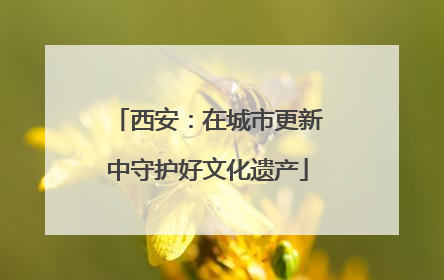 西安：在城市更新中守护好文化遗产