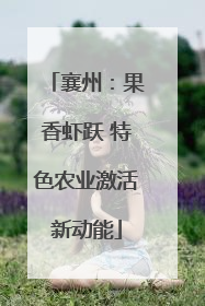 襄州：果香虾跃 特色农业激活新动能