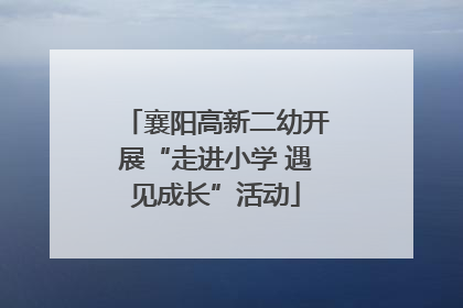 襄阳高新二幼开展“走进小学 遇见成长”活动