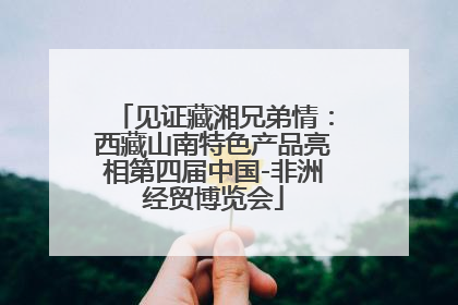 见证藏湘兄弟情：西藏山南特色产品亮相第四届中国-非洲经贸博览会