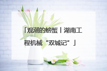 观潮的螃蟹丨湖南工程机械“双城记”