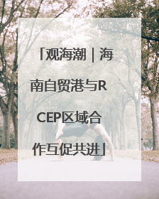 观海潮｜海南自贸港与RCEP区域合作互促共进