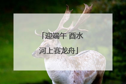 迎端午 酉水河上赛龙舟