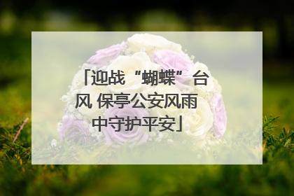 迎战“蝴蝶”台风 保亭公安风雨中守护平安