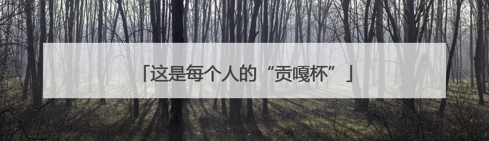 这是每个人的“贡嘎杯”