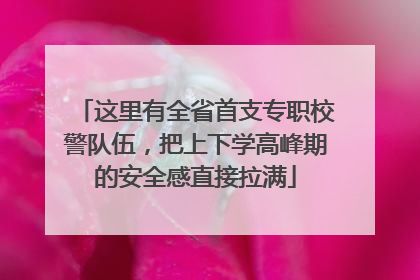 这里有全省首支专职校警队伍，把上下学高峰期的安全感直接拉满
