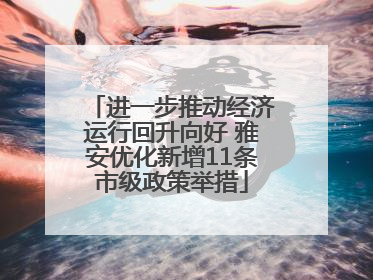 进一步推动经济运行回升向好 雅安优化新增11条市级政策举措