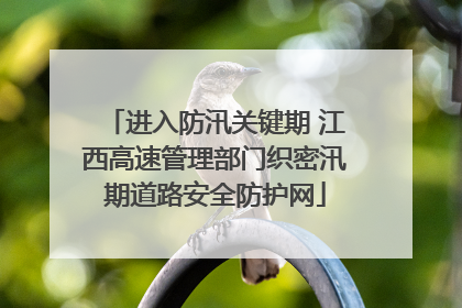 进入防汛关键期 江西高速管理部门织密汛期道路安全防护网