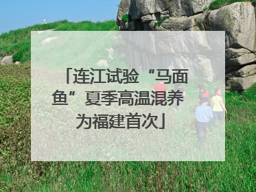 连江试验“马面鱼”夏季高温混养 为福建首次