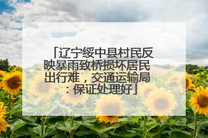辽宁绥中县村民反映暴雨致桥损坏居民出行难，交通运输局：保证处理好