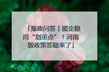 豫政问答丨援企稳岗“划重点”！河南版政策答疑来了