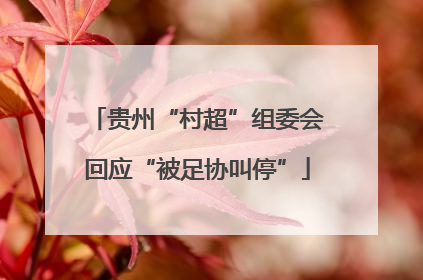 贵州“村超”组委会回应“被足协叫停”