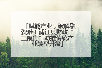 赋能产业，破解融资难！浦江县财政“三聚焦”助推传统产业转型升级