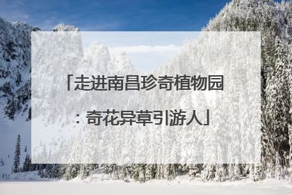 走进南昌珍奇植物园：奇花异草引游人