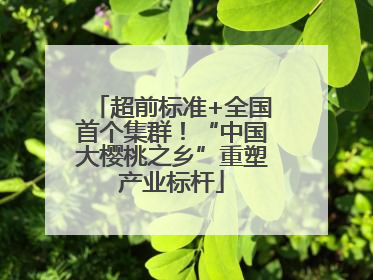 超前标准+全国首个集群！“中国大樱桃之乡”重塑产业标杆