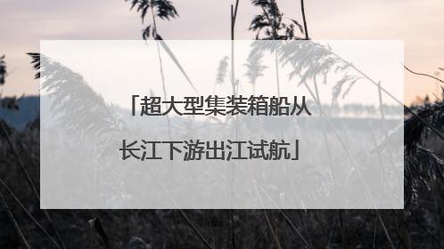 超大型集装箱船从长江下游出江试航
