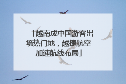 越南成中国游客出境热门地，越捷航空加速航线布局
