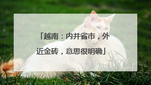 越南：内并省市，外近金砖，意思很明确