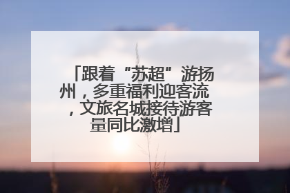 跟着“苏超”游扬州，多重福利迎客流，文旅名城接待游客量同比激增