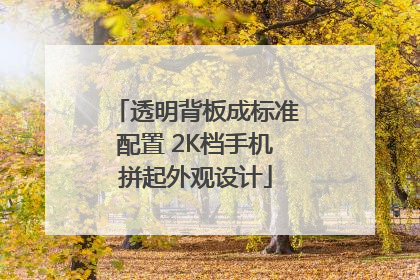 透明背板成标准配置 2K档手机拼起外观设计