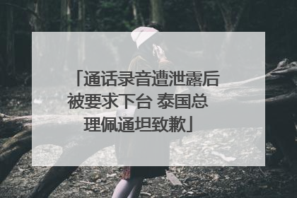 通话录音遭泄露后被要求下台 泰国总理佩通坦致歉