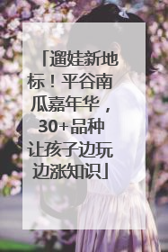 遛娃新地标！平谷南瓜嘉年华，30+品种让孩子边玩边涨知识