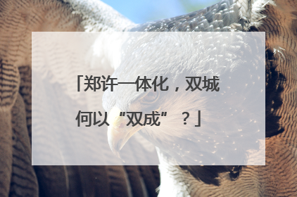 郑许一体化，双城何以“双成”？