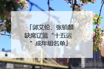 郭艾伦、张镇麟缺席辽篮“十五运”成年组名单