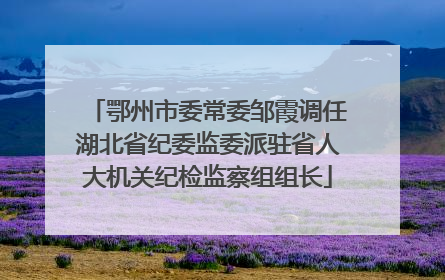 鄂州市委常委邹霞调任湖北省纪委监委派驻省人大机关纪检监察组组长