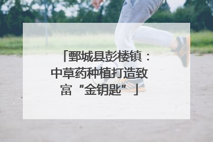 鄄城县彭楼镇：中草药种植打造致富“金钥匙”