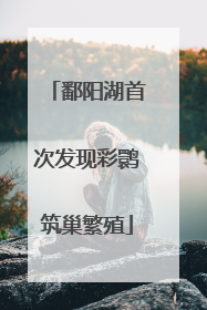 鄱阳湖首次发现彩鹮筑巢繁殖