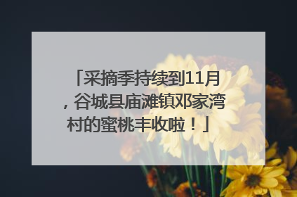 采摘季持续到11月，谷城县庙滩镇邓家湾村的蜜桃丰收啦！