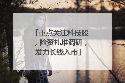 重点关注科技股，险资扎堆调研，发力长钱入市