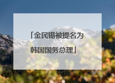 金民锡被提名为韩国国务总理