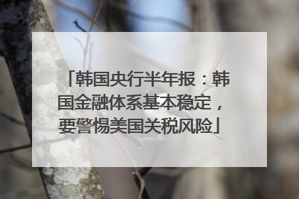 韩国央行半年报：韩国金融体系基本稳定，要警惕美国关税风险