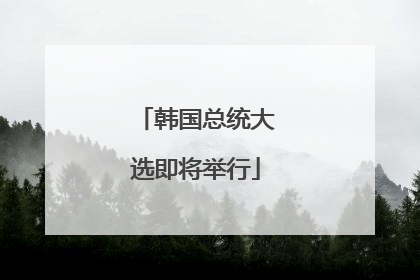 韩国总统大选即将举行