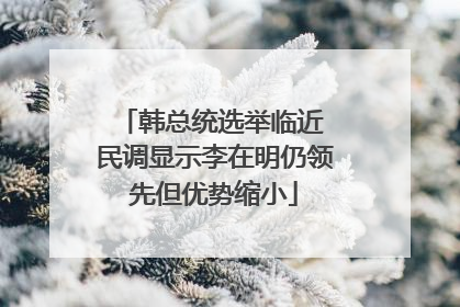 韩总统选举临近 民调显示李在明仍领先但优势缩小