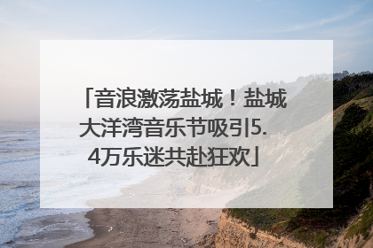 音浪激荡盐城！盐城大洋湾音乐节吸引5.4万乐迷共赴狂欢