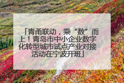青甬联动，乘“数”而上！青岛市中小企业数字化转型城市试点产业对接活动在宁波开班