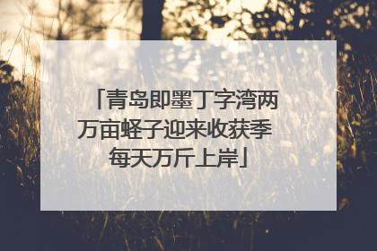 青岛即墨丁字湾两万亩蛏子迎来收获季 每天万斤上岸