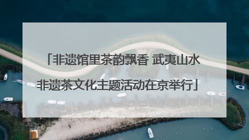 非遗馆里茶韵飘香 武夷山水非遗茶文化主题活动在京举行