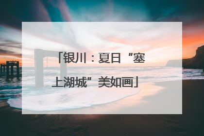 银川：夏日“塞上湖城”美如画