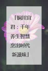 铜川宜君：千年养生智慧烹出时代新滋味