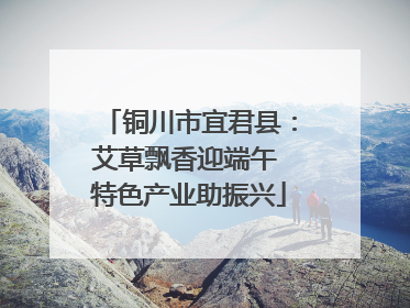 铜川市宜君县：艾草飘香迎端午 特色产业助振兴