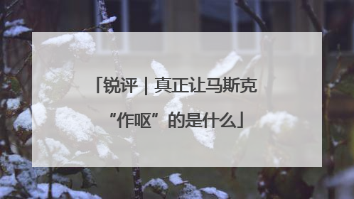 锐评｜真正让马斯克“作呕”的是什么