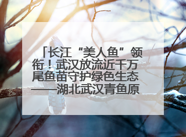 长江“美人鱼”领衔！武汉放流近千万尾鱼苗守护绿色生态——湖北武汉青鱼原种场参加2025年“全国放鱼日”增殖放流活动