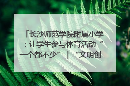 长沙师范学院附属小学：让学生参与体育活动“一个都不少”｜“文明创建耀三湘”专栏