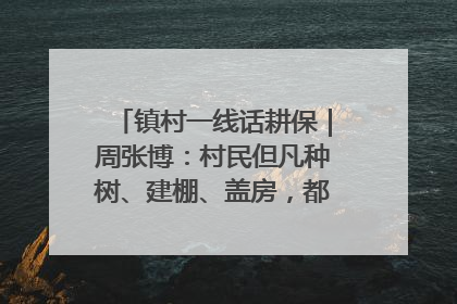 镇村一线话耕保｜周张博：村民但凡种树、建棚、盖房，都要向街道报批