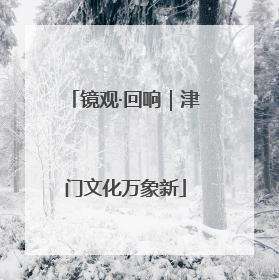 镜观·回响｜津门文化万象新