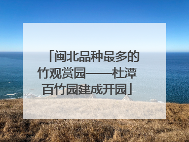闽北品种最多的竹观赏园——杜潭百竹园建成开园